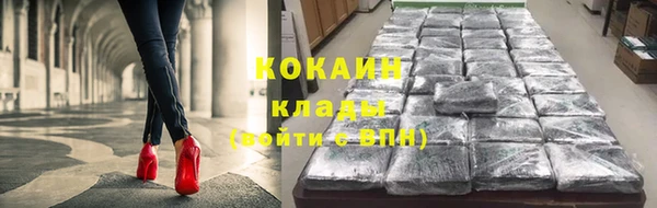 шишки Новозыбков