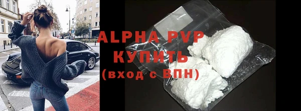 соль ск Новодвинск