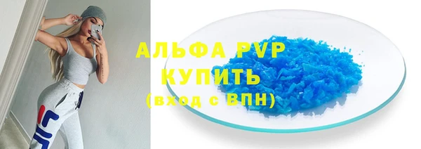 шишки Новозыбков