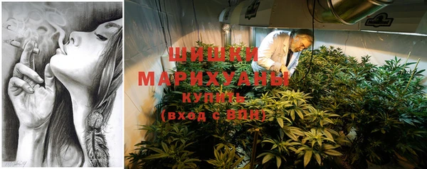 эйфоретик Новокубанск