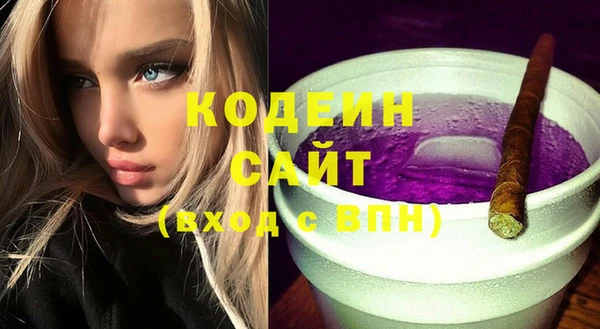 шишки Новозыбков