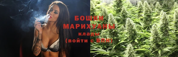 соль ск Новодвинск