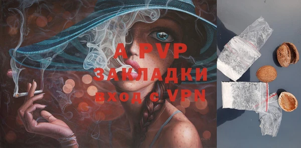 эйфоретик Новокубанск