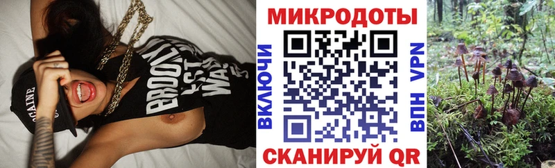 хочу наркоту  Разумное  мориарти как зайти  Галлюциногенные грибы GOLDEN TEACHER 
